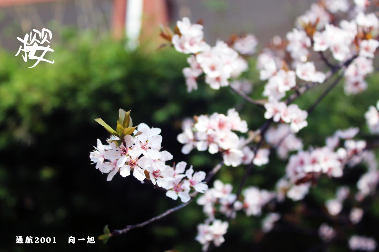 日韩精品亚洲电影天堂
