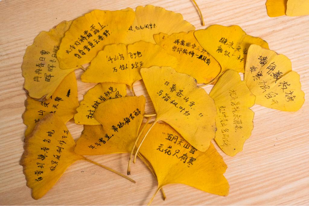 日韩精品亚洲电影天堂