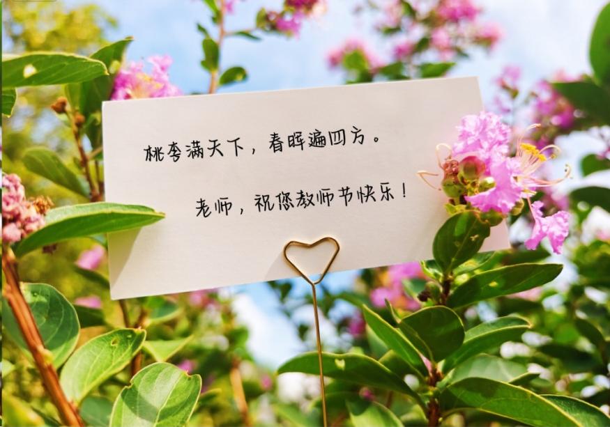 日韩精品亚洲电影天堂