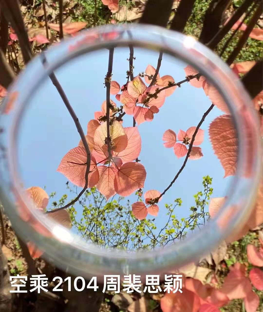 日韩精品亚洲电影天堂