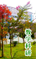 日韩精品亚洲电影天堂