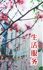 日韩精品亚洲电影天堂